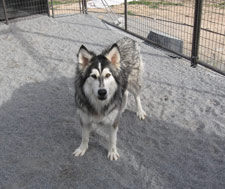 Keena__2_Canon__12-17-07