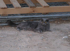 Ms.Underhouse--Canon--8-14-