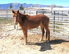 Nickie-2-Canon--3-10-08