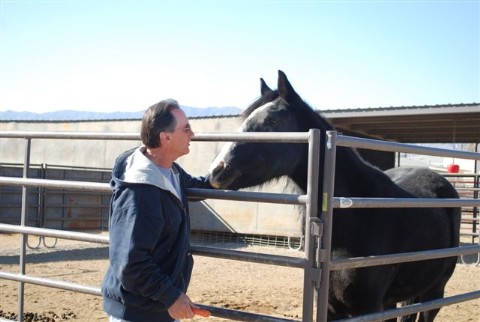Shadow Dancer with volunteer