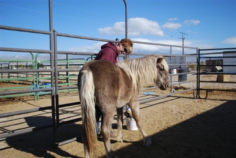 Tiny Tim with volunteer